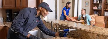 Best Pest Prevention Services  in Brewster Heights, NY