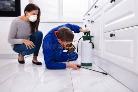 Best Fumigation Services  in Brewster Heights, NY